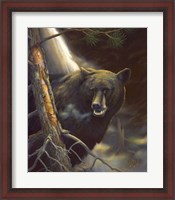 Framed Bear Portrait