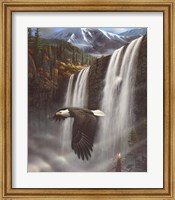 Framed Eagle Portrait