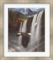 Framed Eagle Portrait
