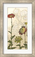 Framed Indian Summer Florals III