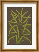 Framed Ferns on Linen I