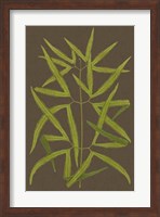 Framed Ferns on Linen I