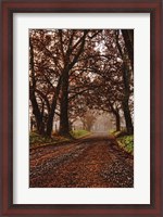 Framed Morning on Sparks Lane II