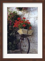 Framed Flower Box Bike