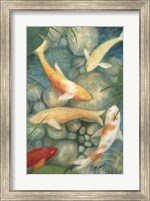 Framed Reflecting Koi II