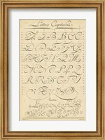 Framed Alphabet Sampler IV