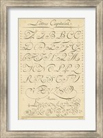 Framed Alphabet Sampler IV