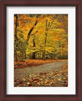 Framed Path through Autumn