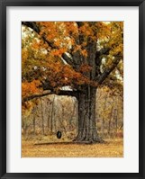 Framed Tree Swing