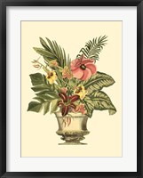 Framed Tropical Elegance II