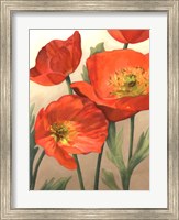 Framed Poppy Love I