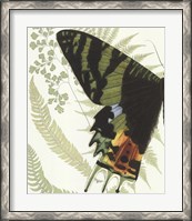 Framed Butterfly Symmetry I