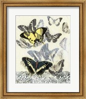 Framed Butterfly Habitat I