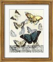 Framed Butterfly Habitat II