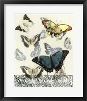 Butterfly Habitat II Framed Print
