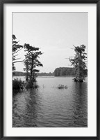 Riverscape II Framed Print