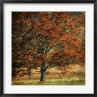 Framed Resting Place