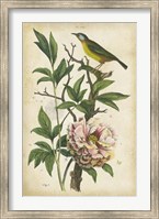 Framed Antique Bird in Nature II