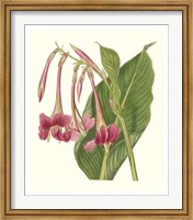 Framed Tropical Indian Reed