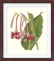 Framed Tropical Indian Reed