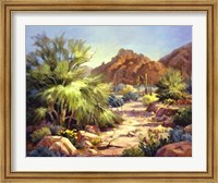 Framed Desert Beauty