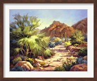 Framed Desert Beauty