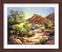 Framed Desert Beauty