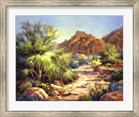 Framed Desert Beauty