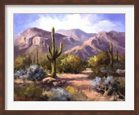 Framed Catalina Mountain Foothills