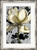 Framed Patterned Magnolia I
