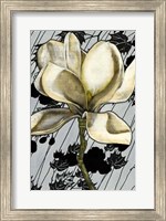 Framed Patterned Magnolia I