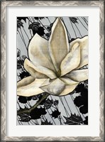 Framed Patterned Magnolia II