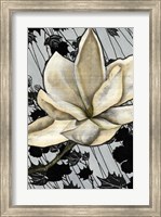 Framed Patterned Magnolia II