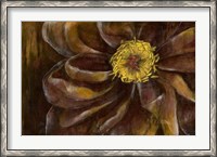 Framed Floral Illusion II
