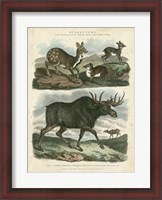 Framed Deer & Moose