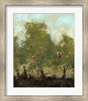 Framed Meadow Abstract I