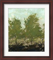 Framed Meadow Abstract II