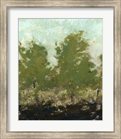 Framed Meadow Abstract II