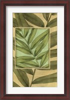 Framed Palm Inset Composition II