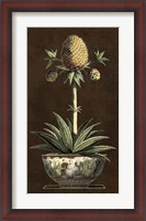 Framed Potted Pineapple I