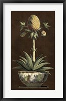 Framed Potted Pineapple I