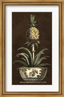 Framed Potted Pineapple II