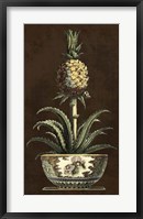 Potted Pineapple II Framed Print
