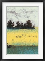 Hedges II Framed Print