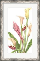 Framed Tropical Bouquet II