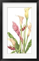 Tropical Bouquet II Framed Print