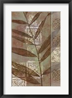 Moroccan Palm II Framed Print