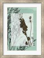 Framed Translucent Wildflowers II