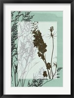 Framed Translucent Wildflowers II