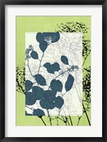Framed Translucent Wildflowers VII